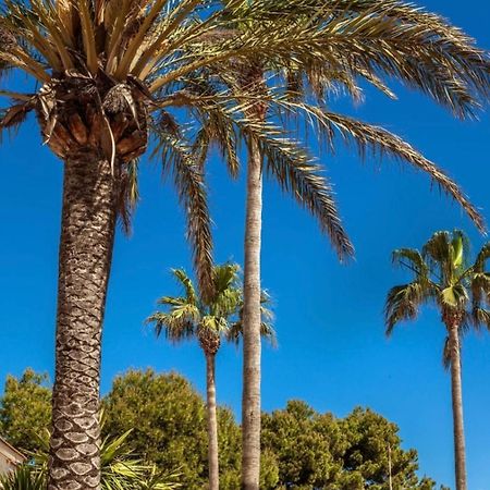 Bonito Apartamento Con Terraza, Jardin Y Piscina Cala en Bosch Exteriér fotografie