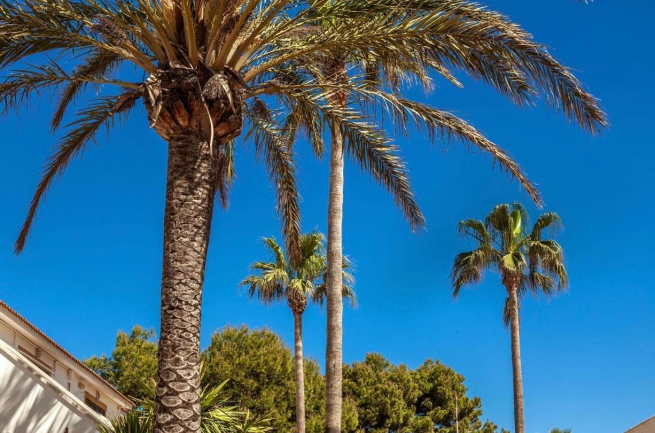 Bonito Apartamento Con Terraza, Jardin Y Piscina Cala en Bosch Exteriér fotografie
